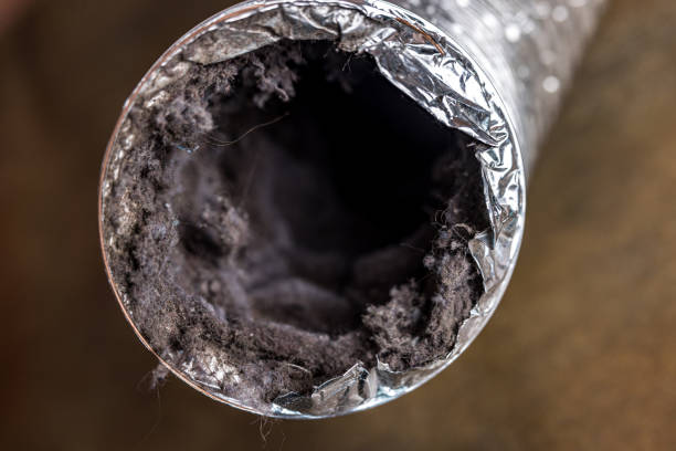 Best Commercial HVAC Duct Cleaning  in Hemphill, TX